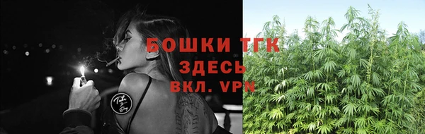 соль курить ск Бородино