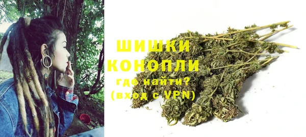 ПСИЛОЦИБИНОВЫЕ ГРИБЫ Бронницы