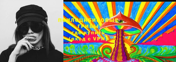 соль курить ск Бородино