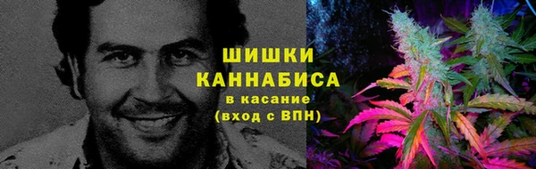 Альфа ПВП Богородск